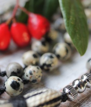 Mala Diaspro dalmata