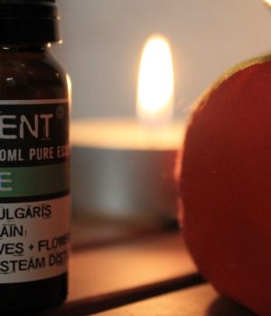 Olio Essenziale - Timo
