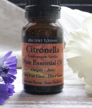 Olio Essenziale - Citronella