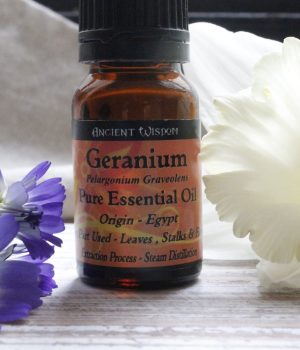 Olio Essenziale - Geranio