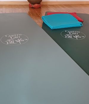 Yoga Mat Centro Tao